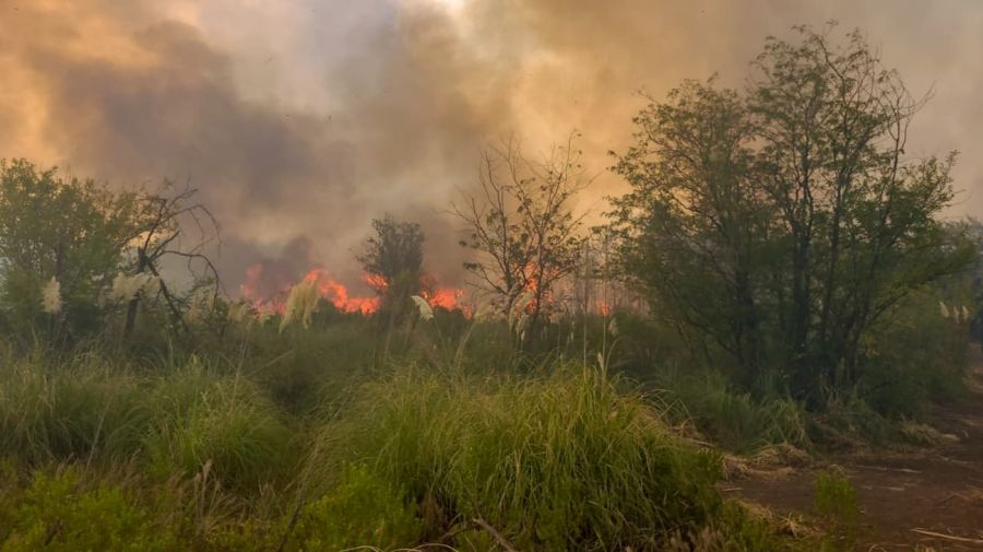 incendio apagon masivo g_20230302