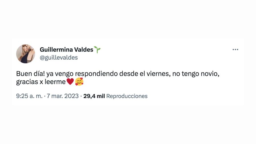 Guillermina Valdés negó romance con javier garcía