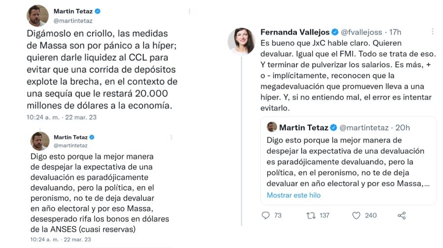 Cruce entre Fernanda Vallejos y Martín Tetaz