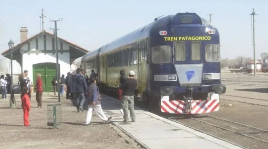 2903_tren patagónico