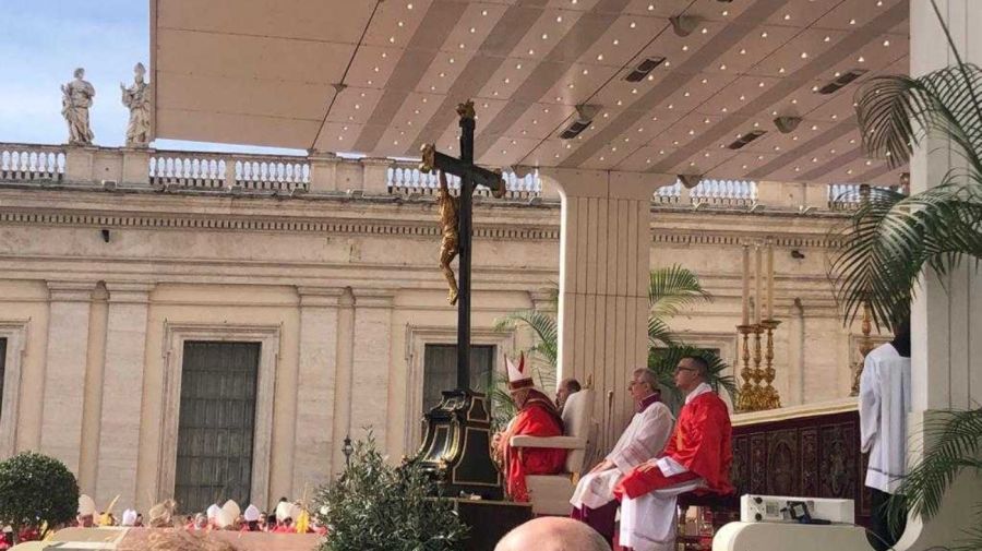 El Papa Francisco durante la misa de Ramos