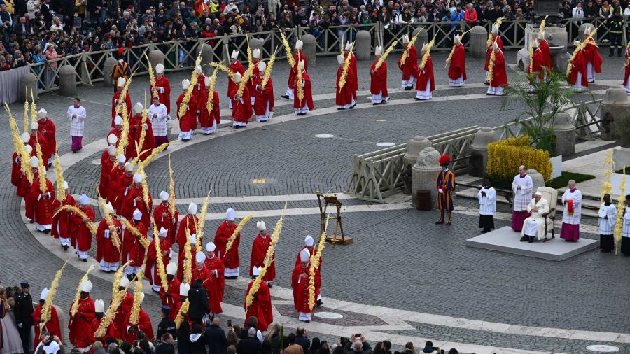 Fotogaleria El Papa Francisco preside la celebración de la misa del Domingo de Ramos, mientras los cardenales que sostienen una rama de palma tejida participan en una procesión en la plaza de San Pedro en El Vaticano