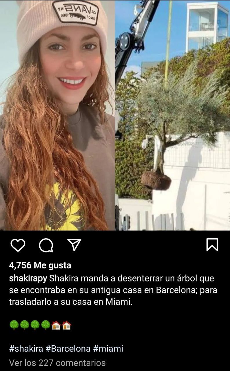 La importante decisión de Shakira