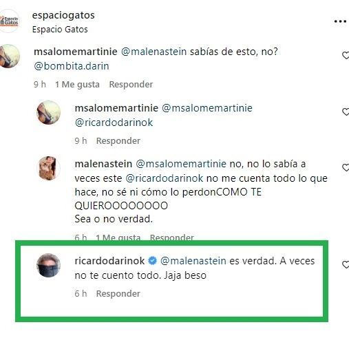 Ricardo Darín salvó a una gatita en peligro