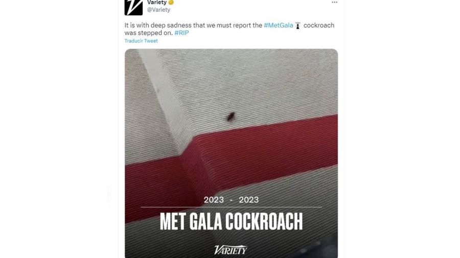 La cucaracha de la Gala Met 2023