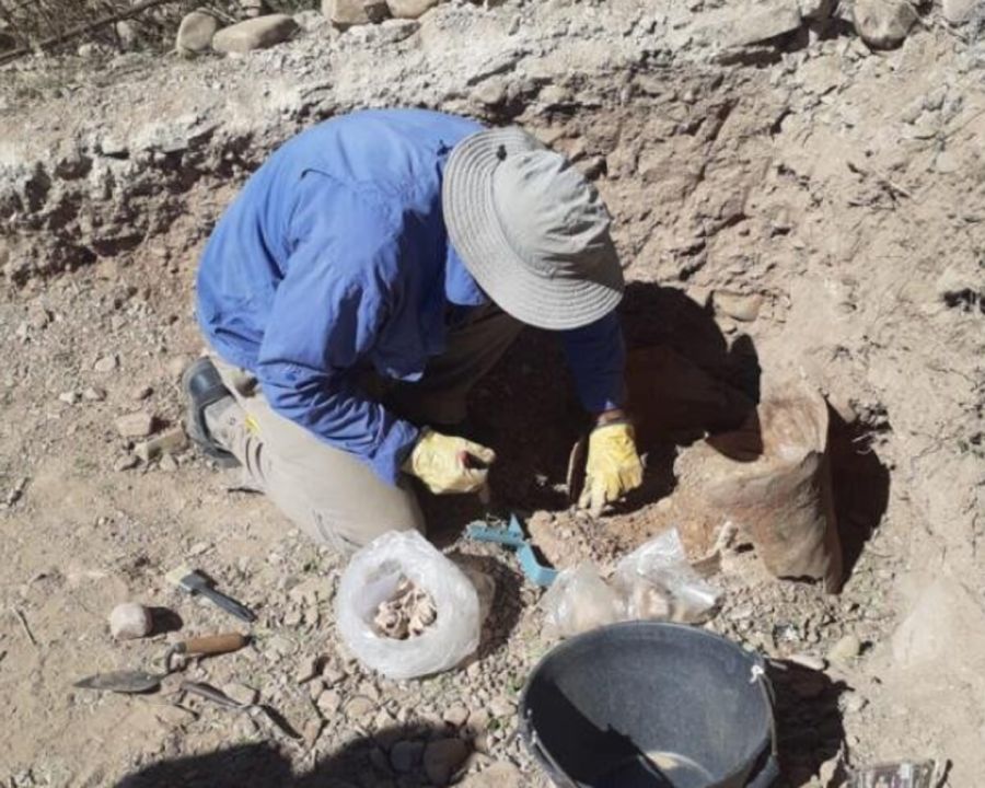 0305_inca settlement