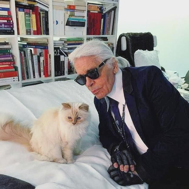 la fortuna de Karl Lagerfeld