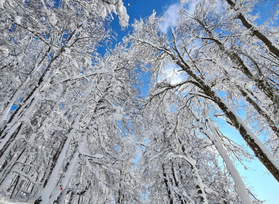 Los centros de ski celebran las primeras nevadas