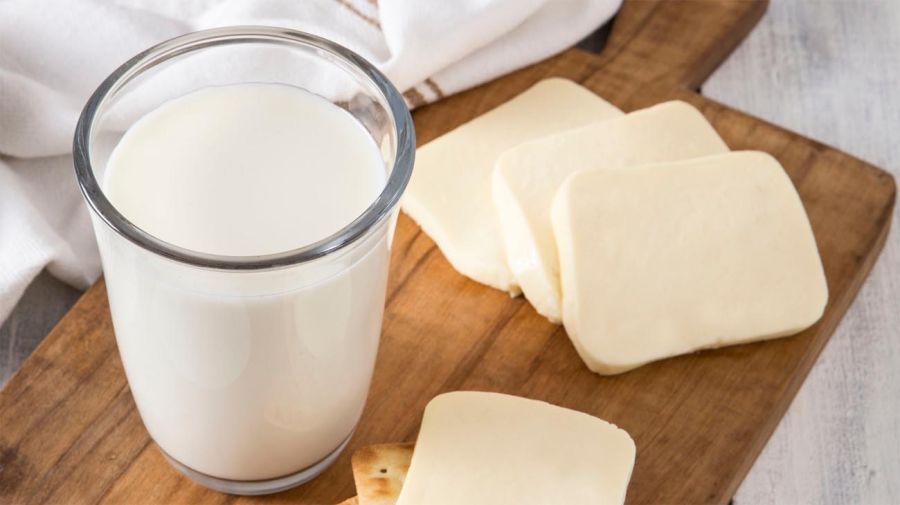 Dia mundial de la leche