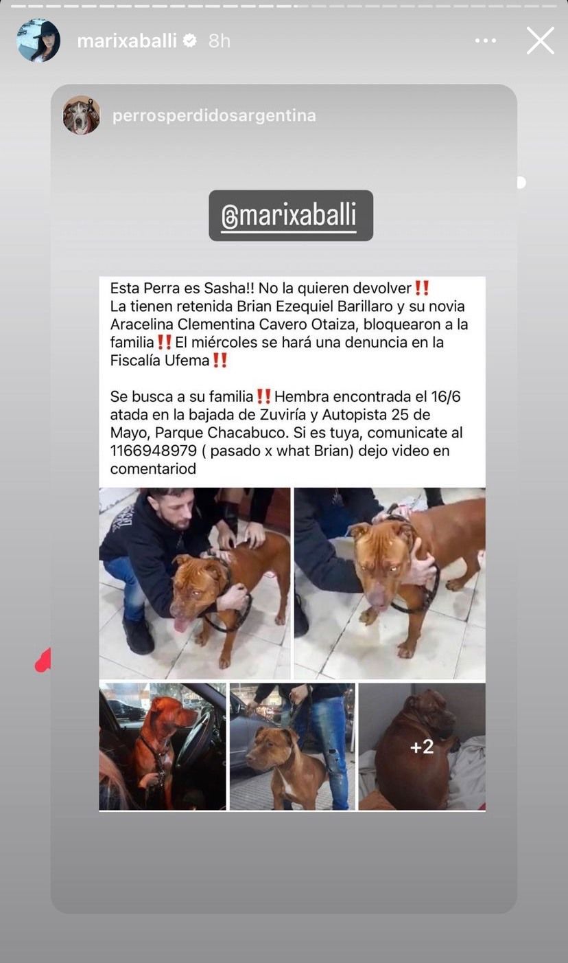Marixa Balli y el escándalo del perro robado