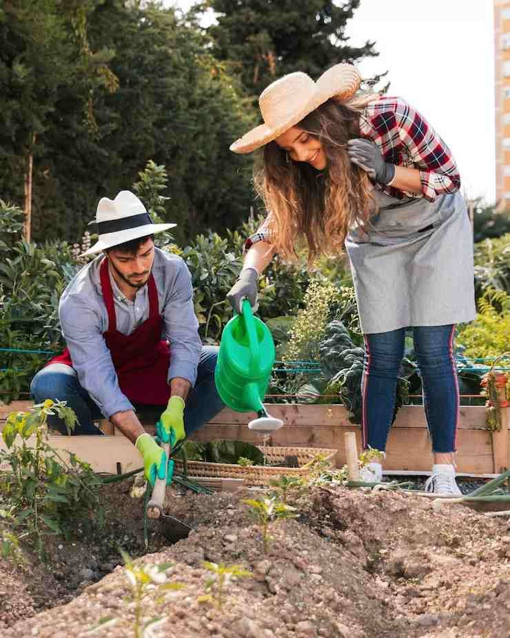 Compost: 8 consejos para mantenerlo saludable y convertirlo en tu mejor aliado ecológico