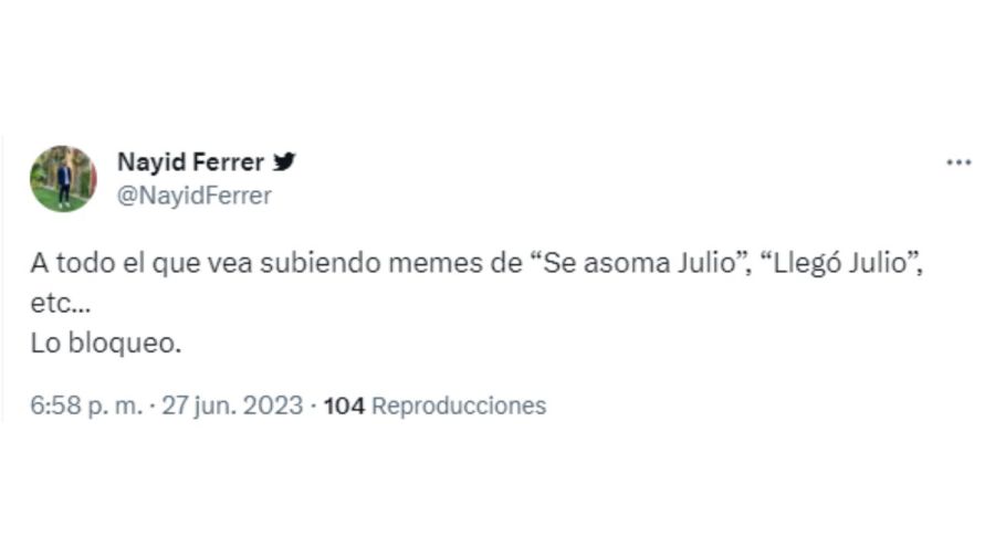 Meme Julio Iglesias