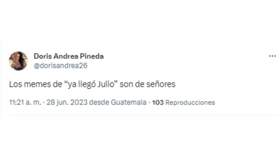 Meme Julio Iglesias