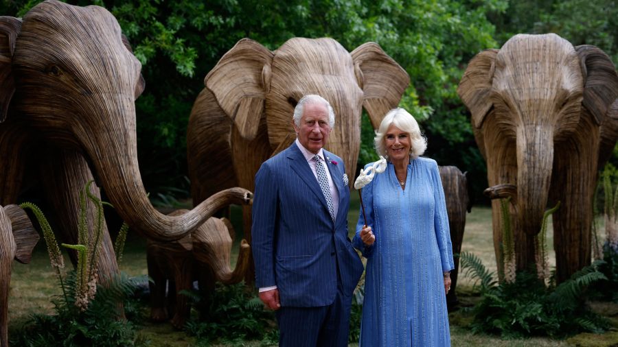 Fotogaleria El rey Carlos III de Gran Bretaña y la reina Camilla asisten al Baile de los Animales en Lancaster House, Londres