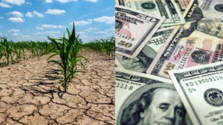 La sequía y la falta de dólares empiezan a golpear la actividad económica