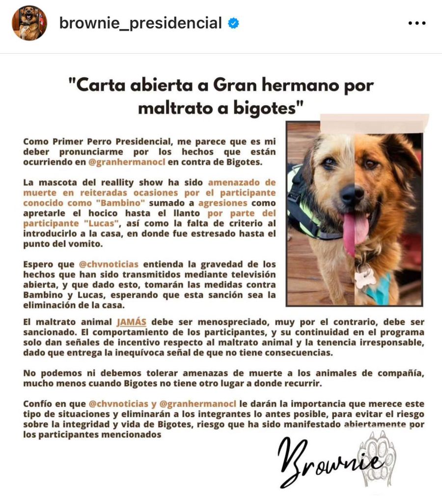 Denuncian a integrantes de Gran Hermano Chile por el trato hacia la mascota del programa 