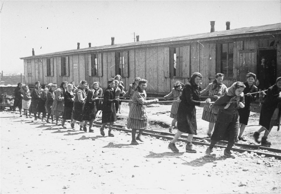 Auschwitz