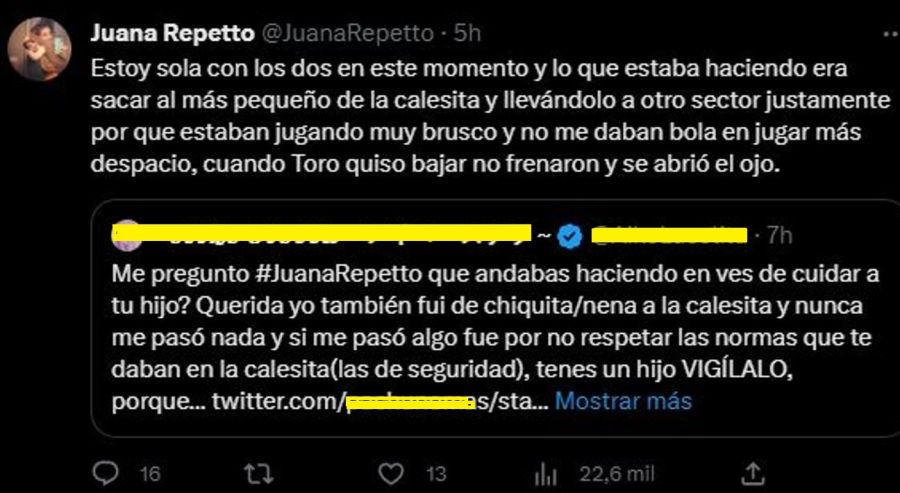 Juana Repetto descargo furia prohibicion calesita