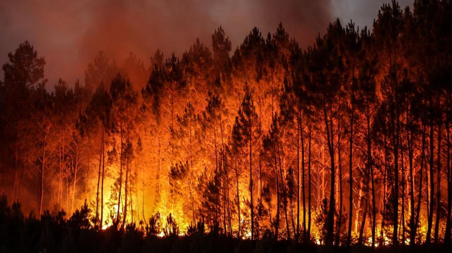 Incendios forestales en el planeta Tierra