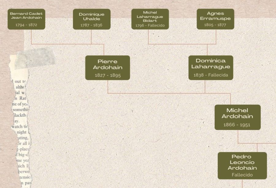 Árbol genealógico de Pampita-Familia Ardohain