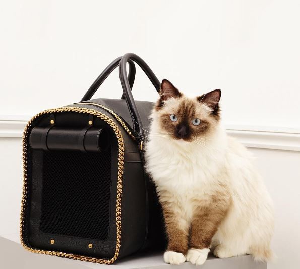 El amor de los diseñadores por los gatos y su influencia en prendas de lujo