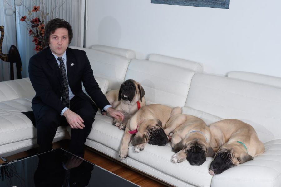 JAVIER MILEI Y SUS PERROS MASTIN