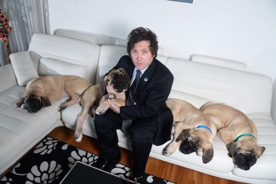 Las mejores fotos de Javier Milei junto a los perros a los que considera "sus hijos" | Caras