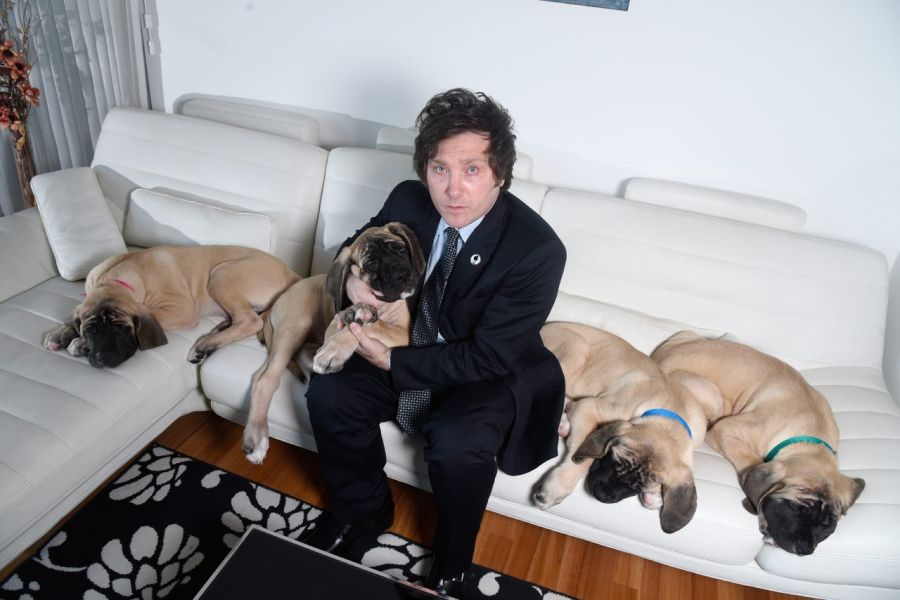 JAVIER MILEI Y SUS PERROS MASTIN