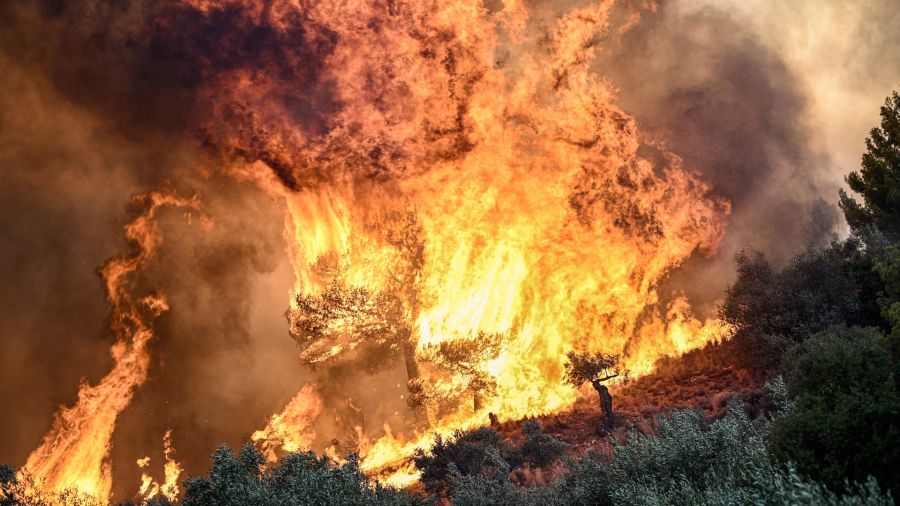 Fotogaleria Una foto muestra llamas quemando vegetación durante un incendio forestal cerca de Prodromos, 100 km al noreste de Atenas, Grecia