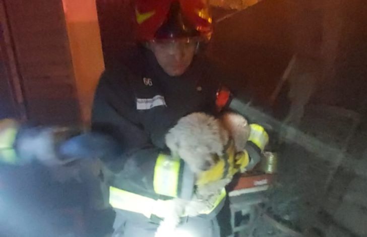 12-09-2023 incendio rescate perro Córdoba