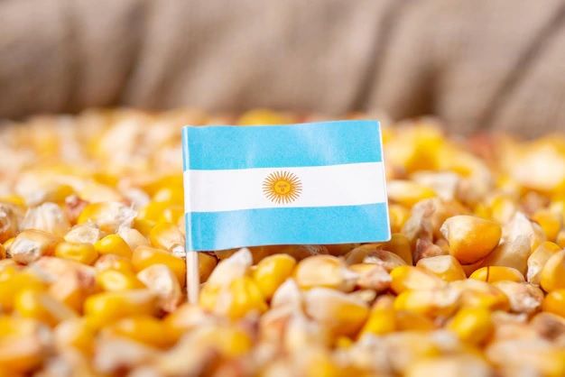 Bandera de Argentina en Maíz
