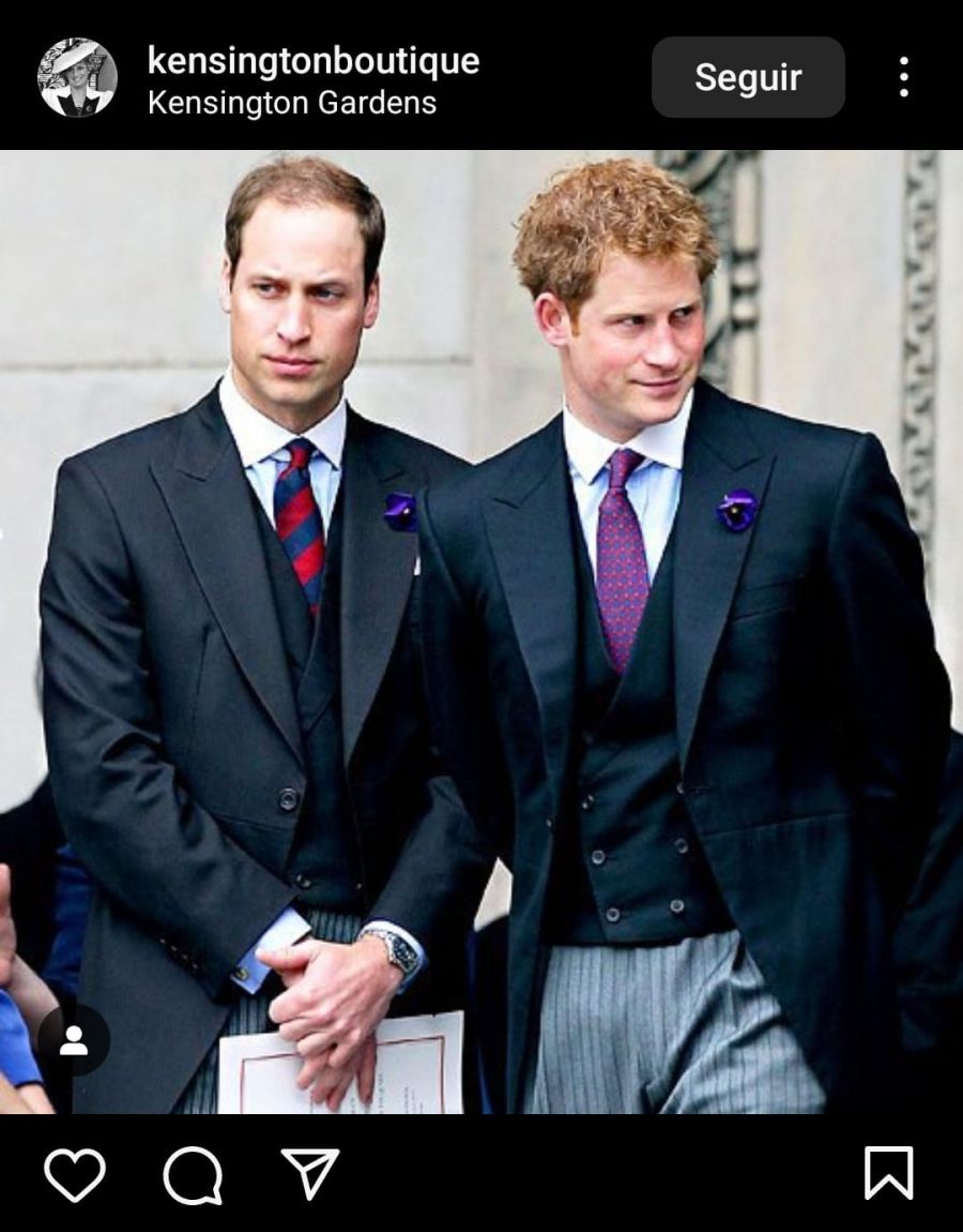 Príncipe Harry y el Príncipe Guillermo
