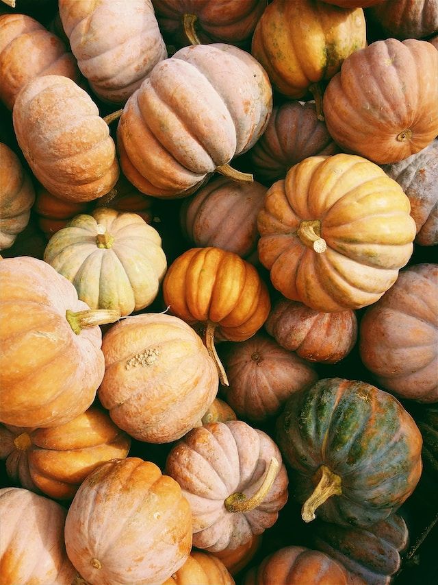 calabaza