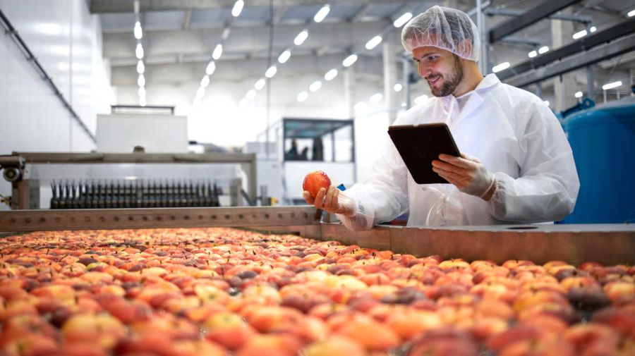 Alimentos en fábrica.