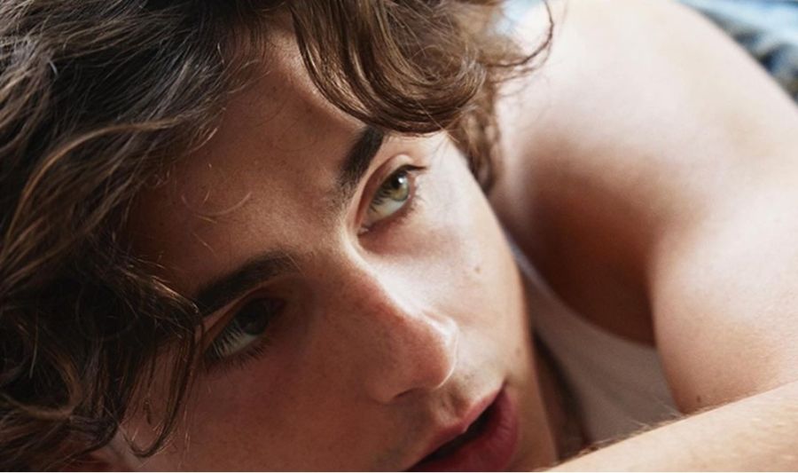 Por qué Timothée Chalamet es el rey del lujo silencioso