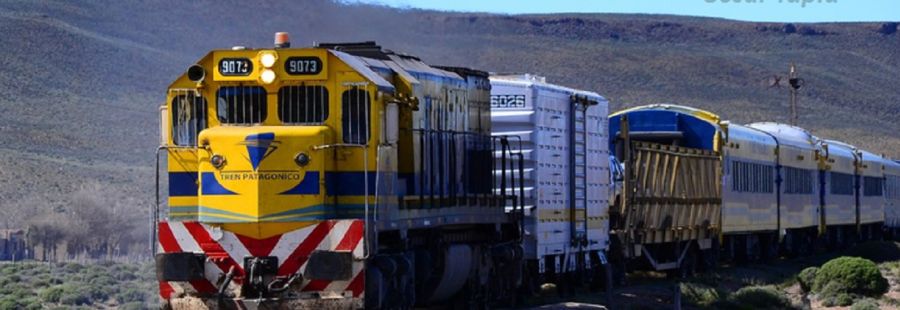 2710_tren patagónico