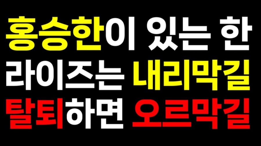 Cartel de los seguidores de RIZZE contra Seunghan