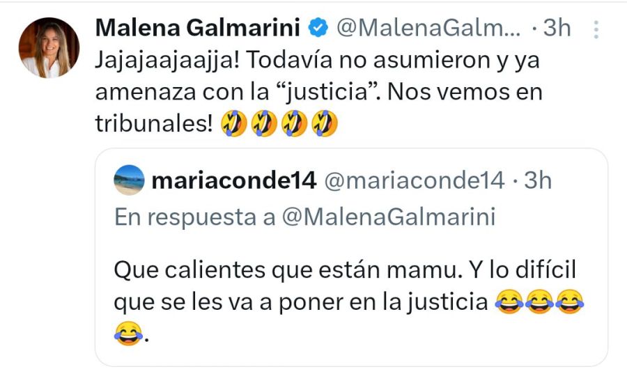 Malena Galmarini