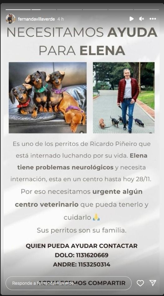 Elena, la perrita de Ricardo Piñeiro, también sufrió un ACV y piden ayuda para su tratamiento