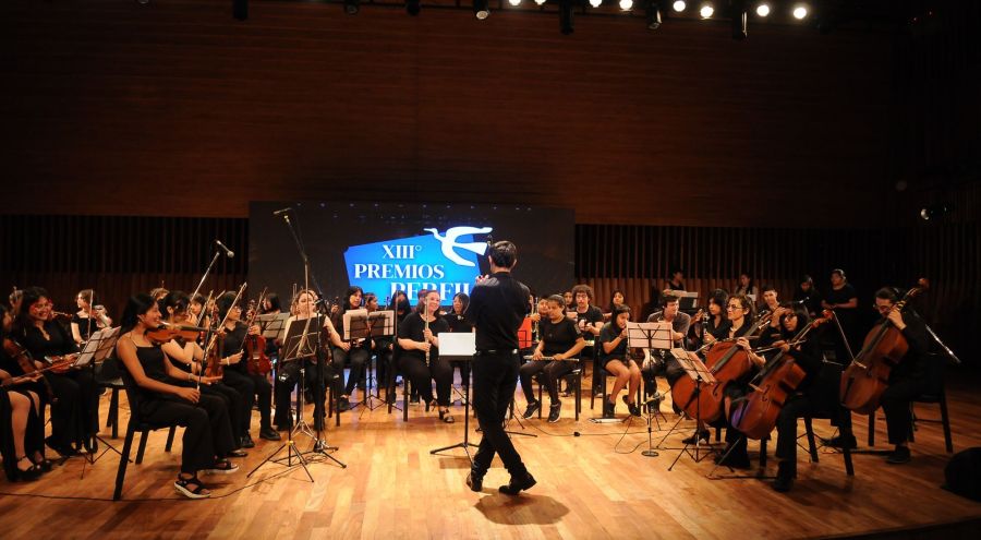 Centro Artístico Solidario Argentino en Premios Perfil 