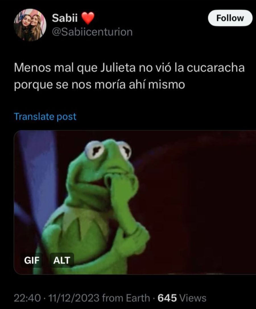Memes sobre la cucaracha sobre Julieta Poggio