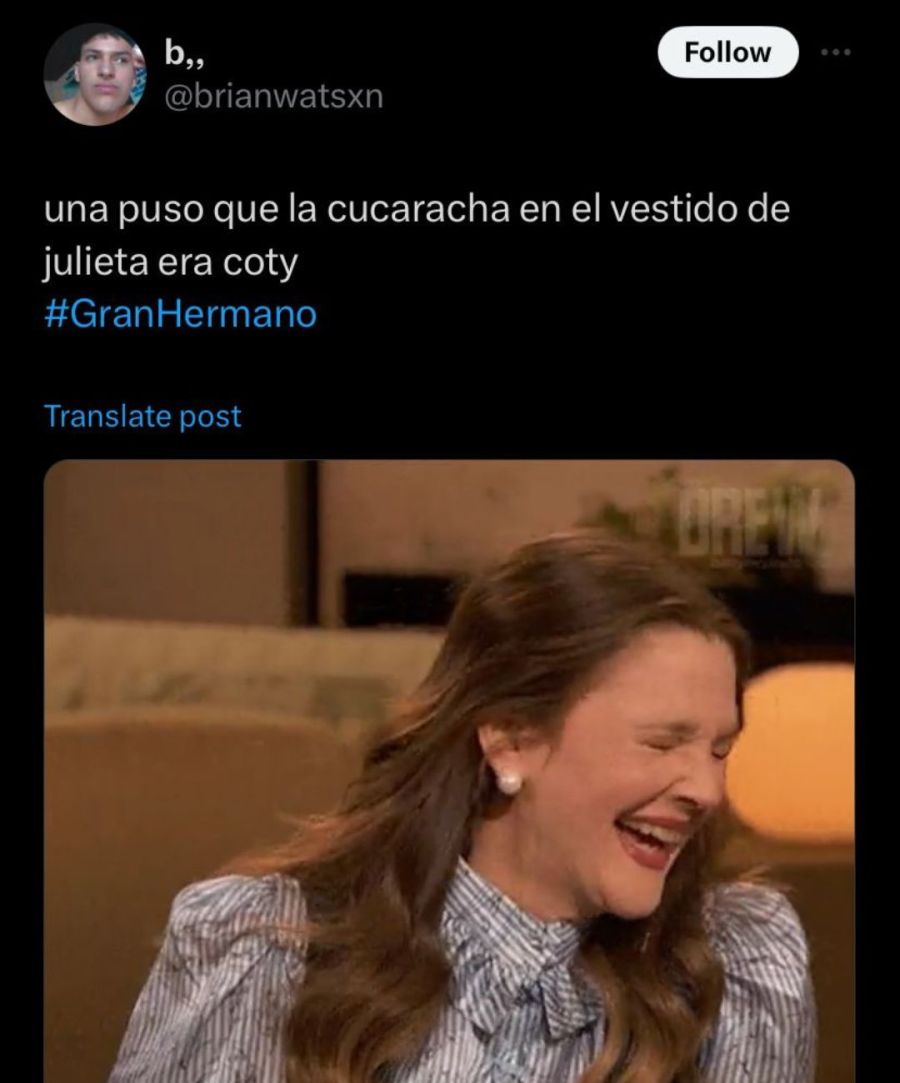 Memes sobre la cucaracha sobre Julieta Poggio