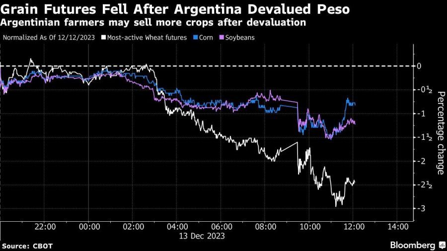 Grain Futures Fell After Argentina Devalued Peso | Argentinian farmers may sell more crops after devaluation