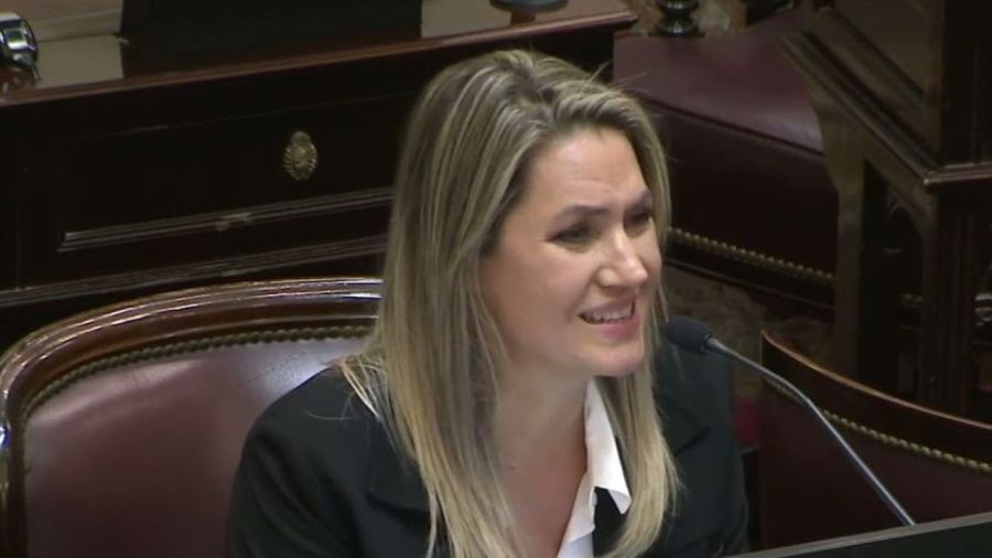 Carolina Losada chicaneó al bloque K en el Senado: “Chicos, sorry, se fueron”