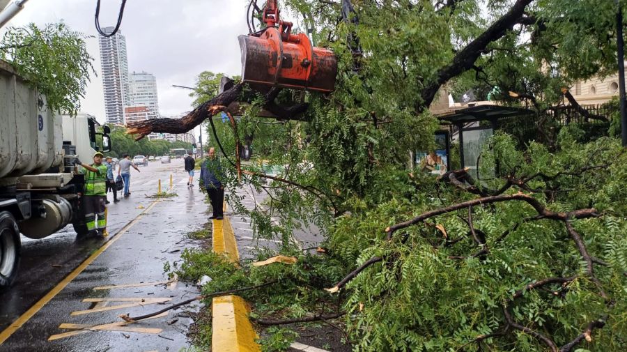 Cuadrillas de la Ciudad trabajaban este domingo para mitigar efectos de la tormenta.