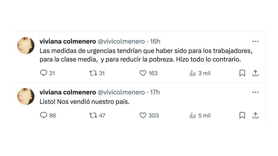 Viviana Colmenero, furiosa por el DNU de Javier Milei: 