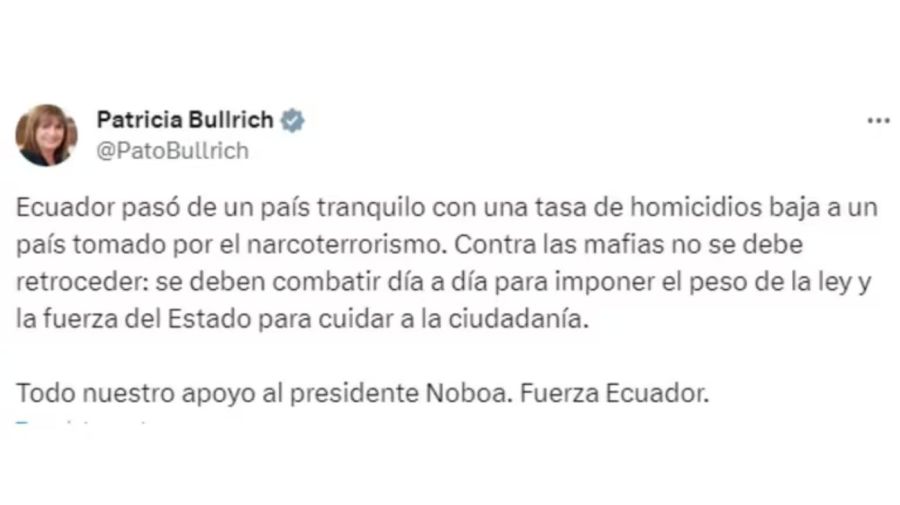 Patricia Bullrich aseguró que el Gobierno está dispuesto a mandar fuerzas de seguridad a Ecuador: 