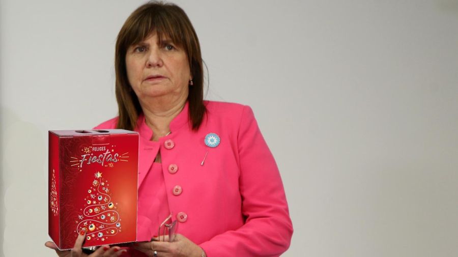 Patricia Bullrich con Caja de Navidad