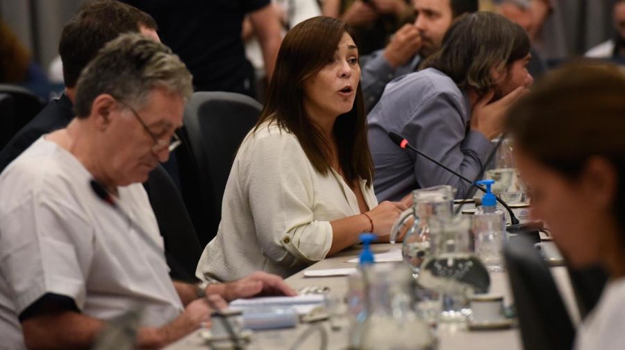 Plenario de comisiones en Diputados RECIBE A MÁS DE 60 ONGS PARA SEGUIR AVANZANDO EN LA LEY