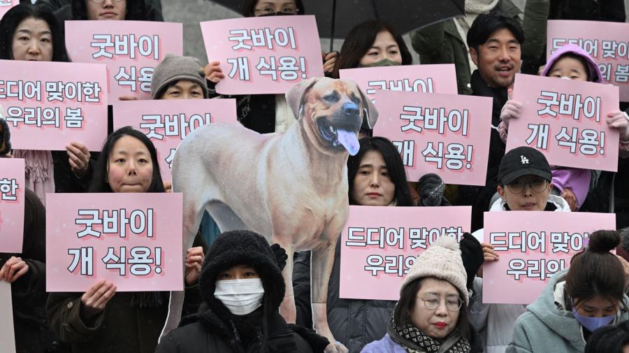 Corea del Sur prohíbe el comercio de carne de perro